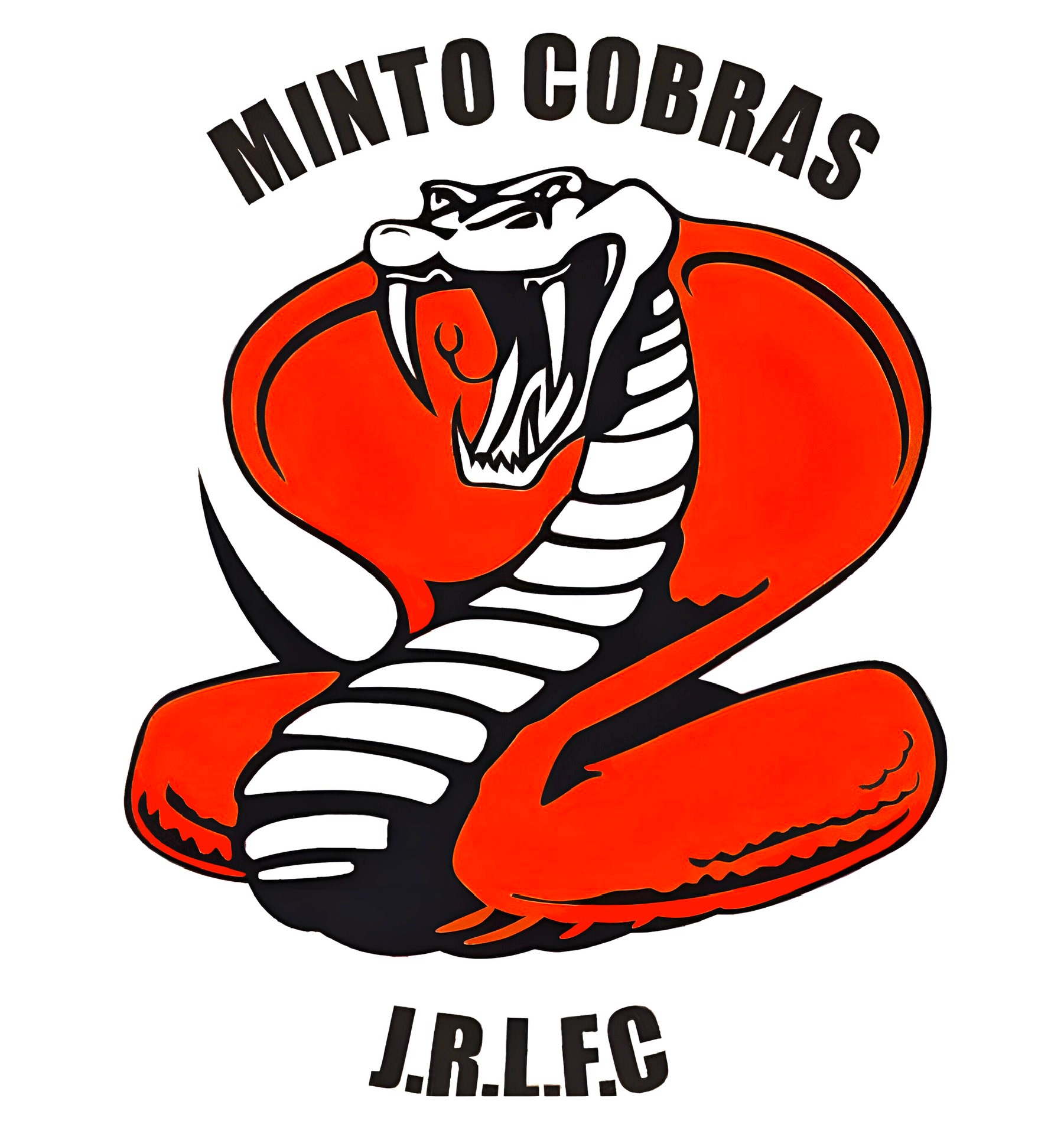 Lcc Rugby LCC U15 Gold vs Minto Cobras U/15 - Round 12, 2025 - Match Centre ...